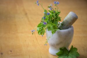 Stage « Soins au verger, soigner les arbres par les plantes « 